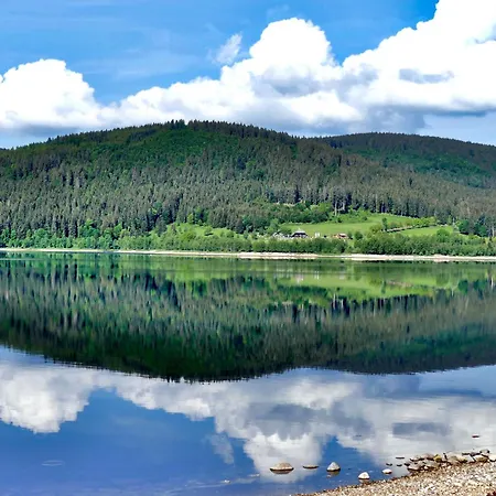 Lägenhet Haus Wiesenquelle - 14 