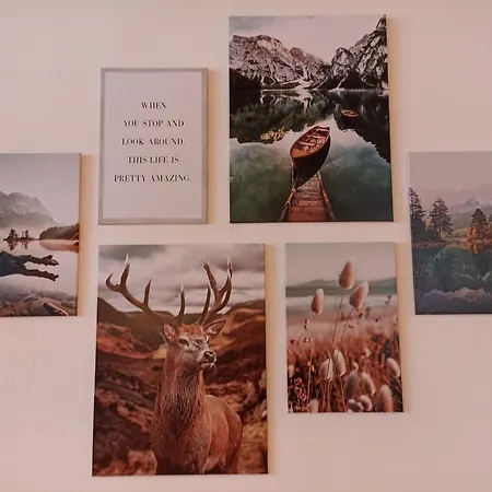 Haus Wiesenquelle - 14 