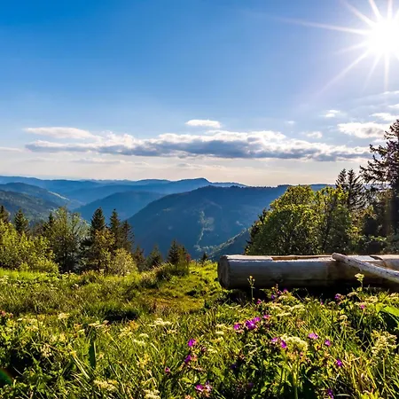 Apartmán Haus Wiesenquelle - 14 