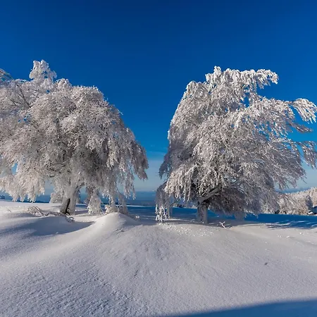 Haus Wiesenquelle - 14 