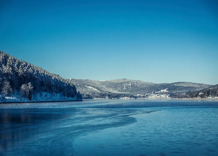 Lägenhet Haus Wiesenquelle - 14 