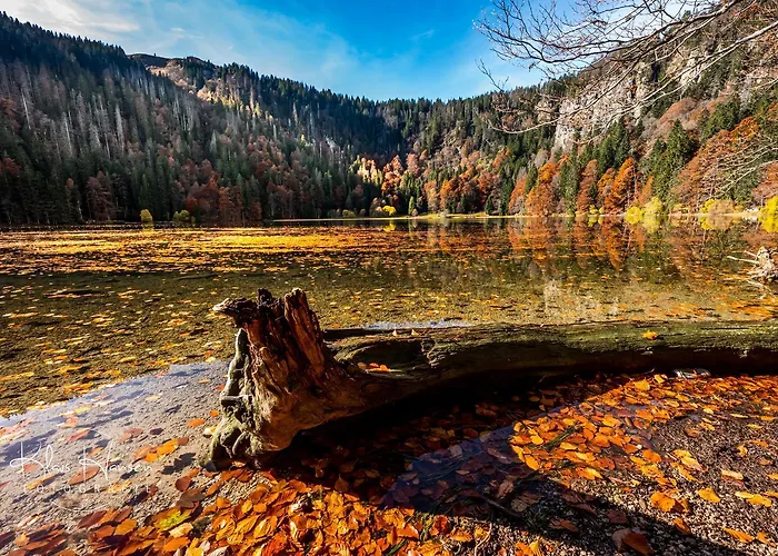 Lägenhet Haus Wiesenquelle - 14 