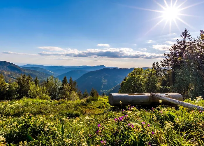 Lägenhet Haus Wiesenquelle - 14 